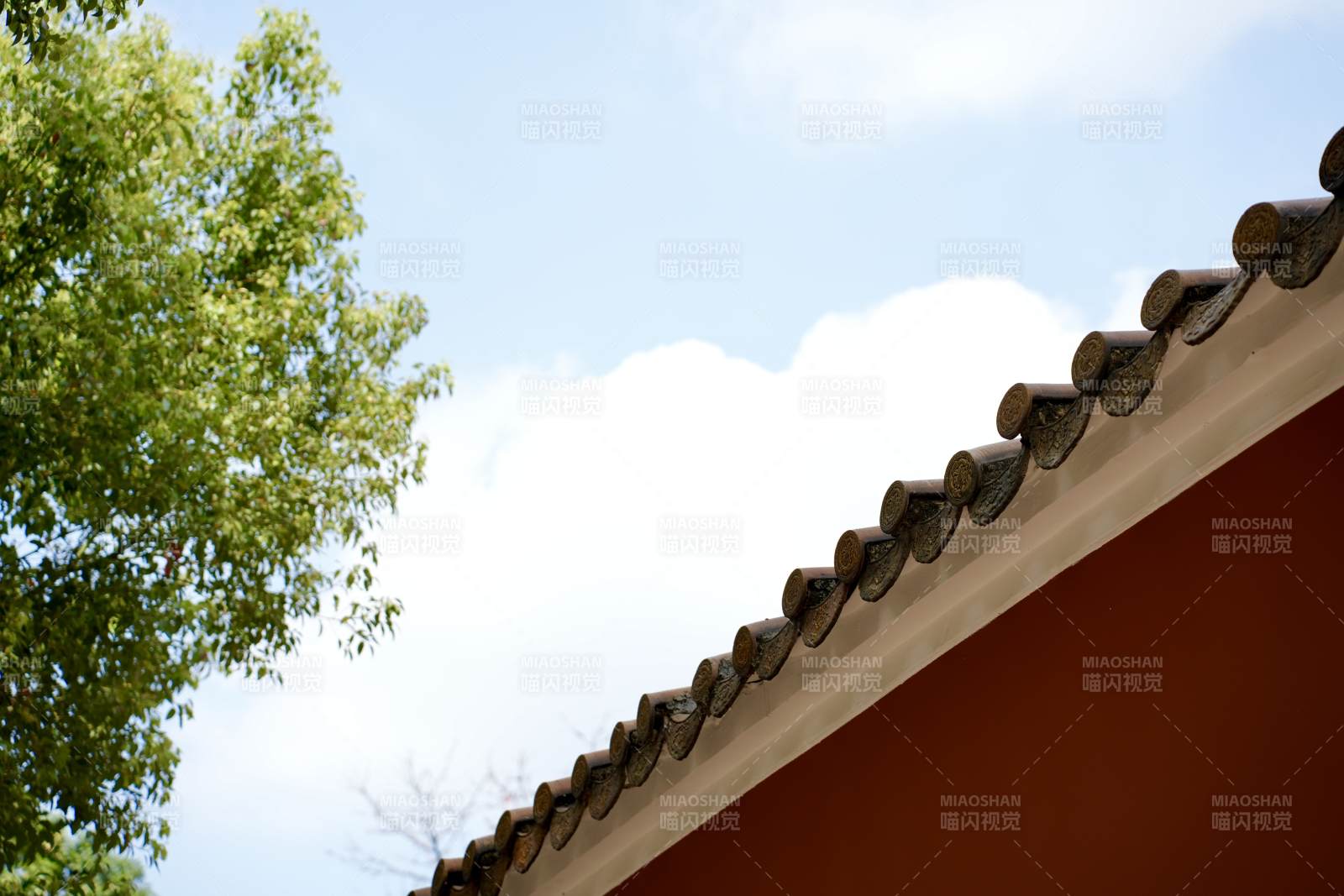 瓦檐绿树映蓝天图片