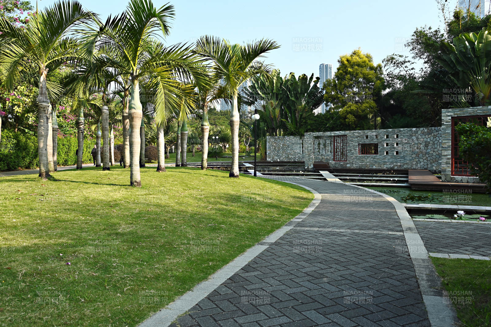 绿意盎然的公园小径图片