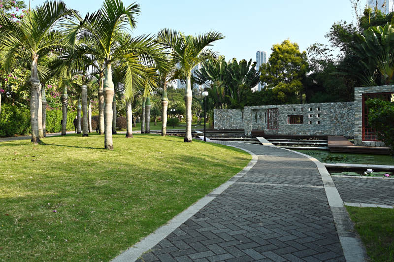 绿意盎然的公园小径图片