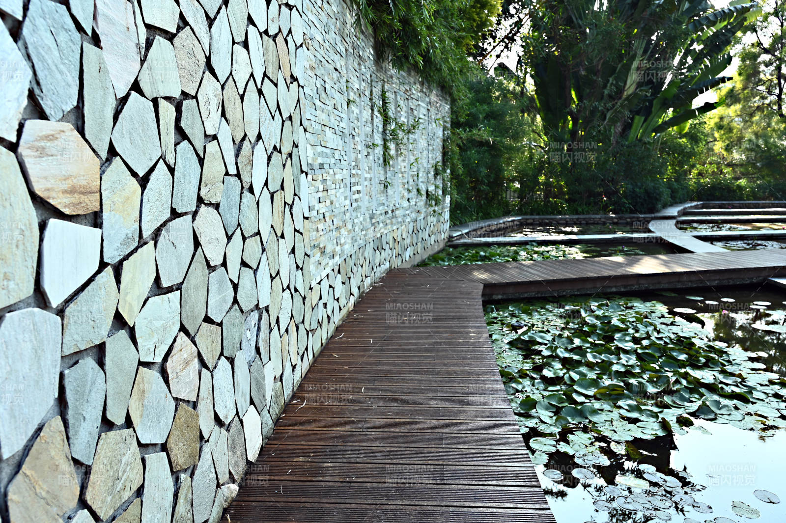 石墙木道荷塘景图片