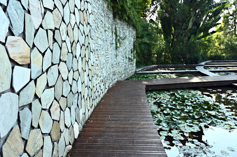 石墙木道荷塘景图片