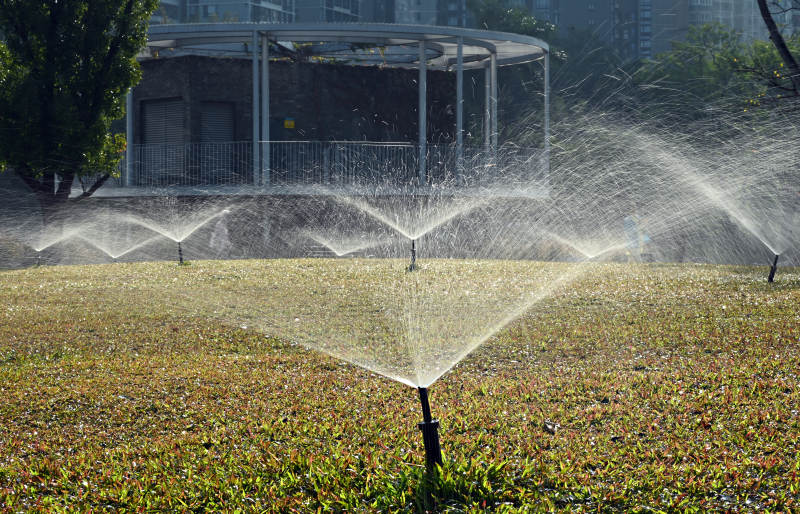 喷灌草坪图片