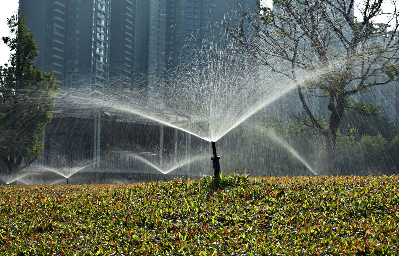 喷泉滋润绿植图片