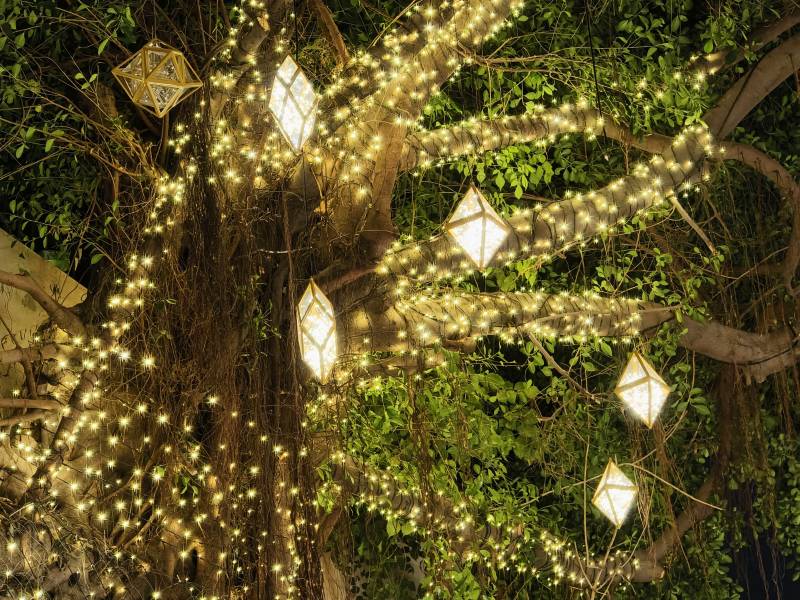 树影灯辉夜景图片