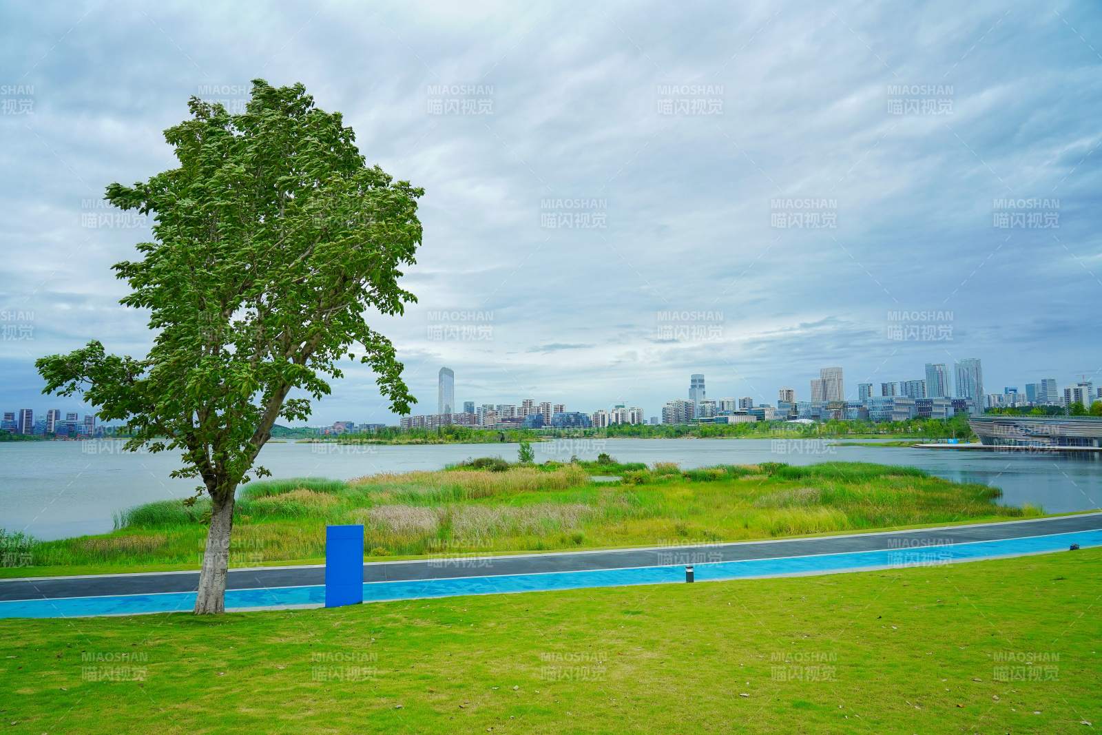 兴隆湖畔绿树映城景图片