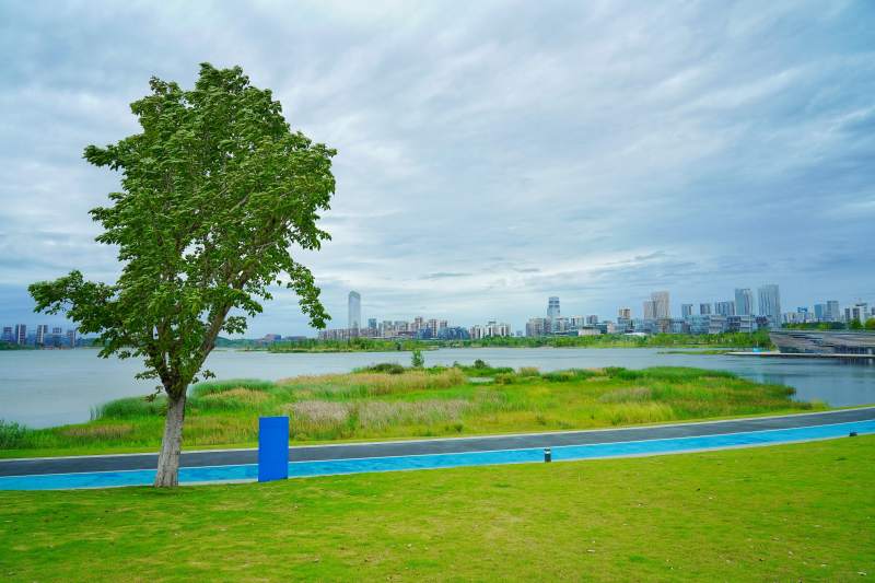 湖畔绿树映城景图片