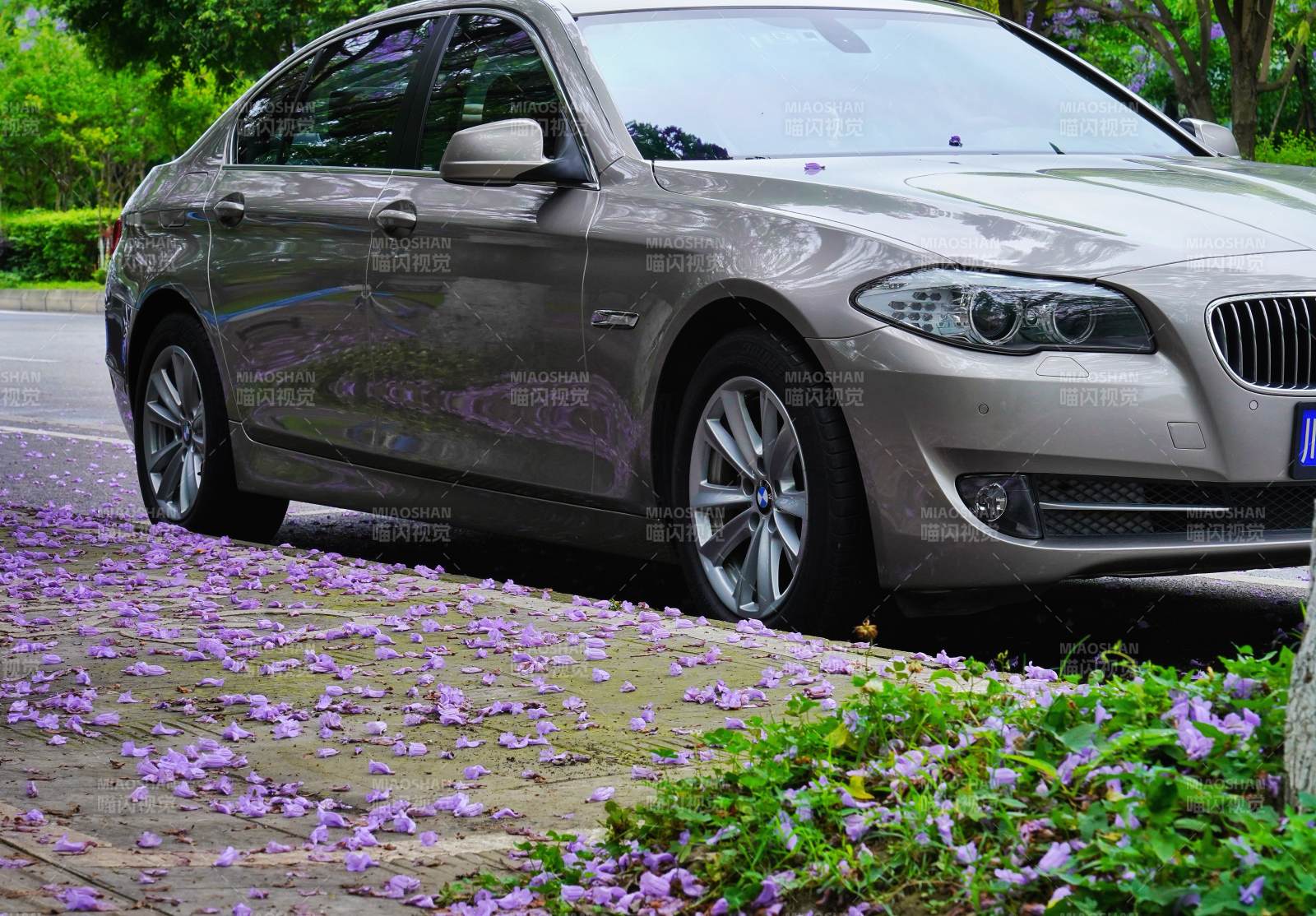宝马停在花丛旁图片