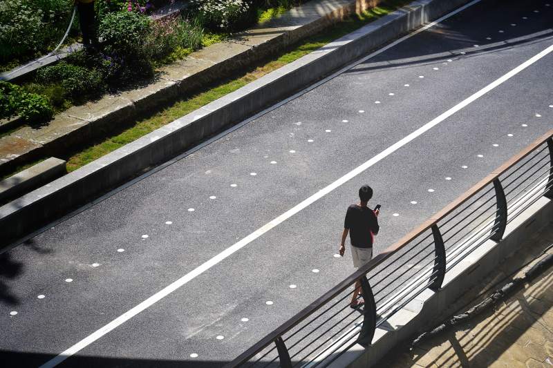 街头独行者图片