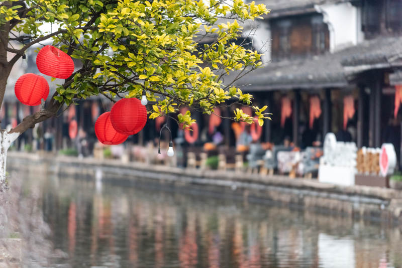 水乡红灯映春景图片