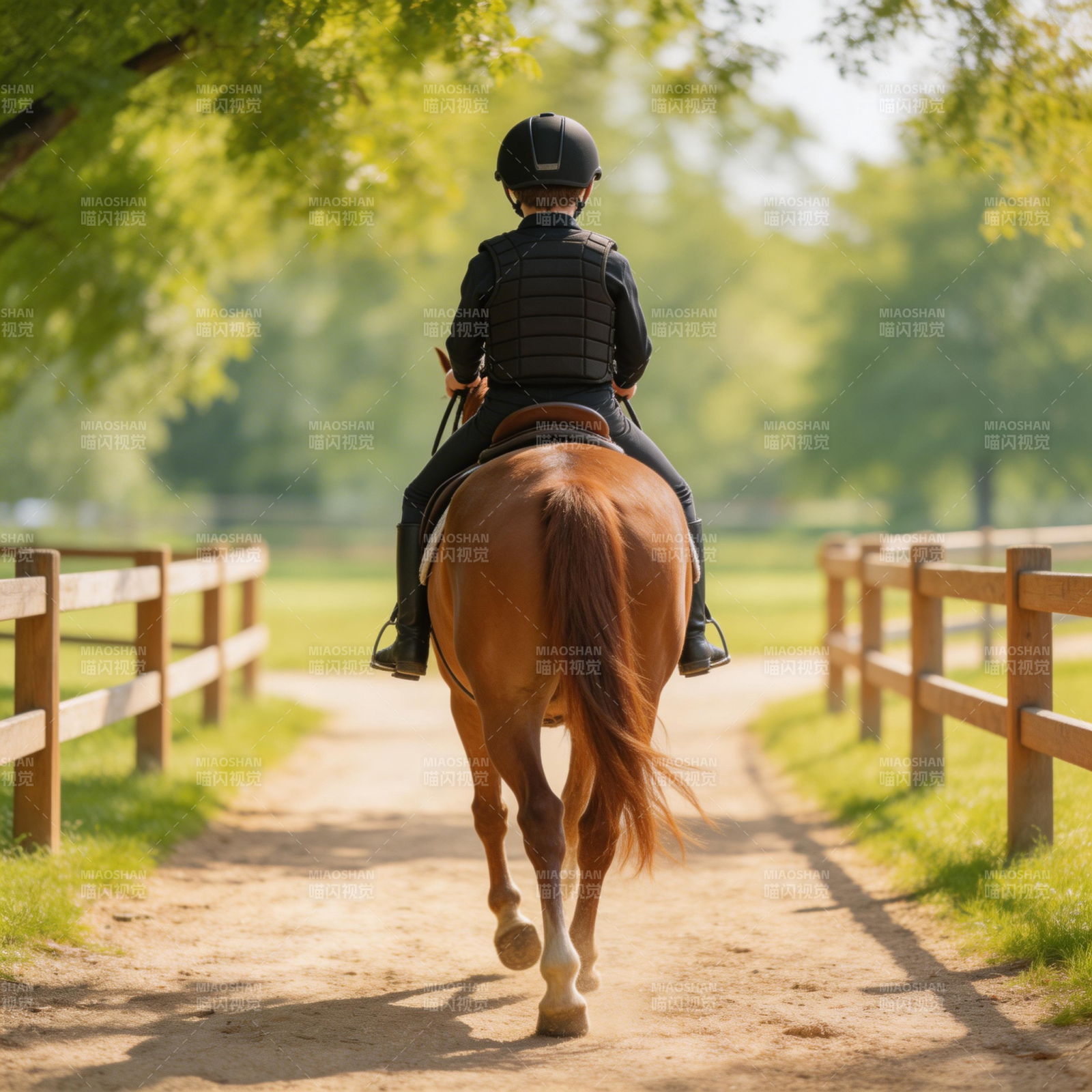 骑马归途图片