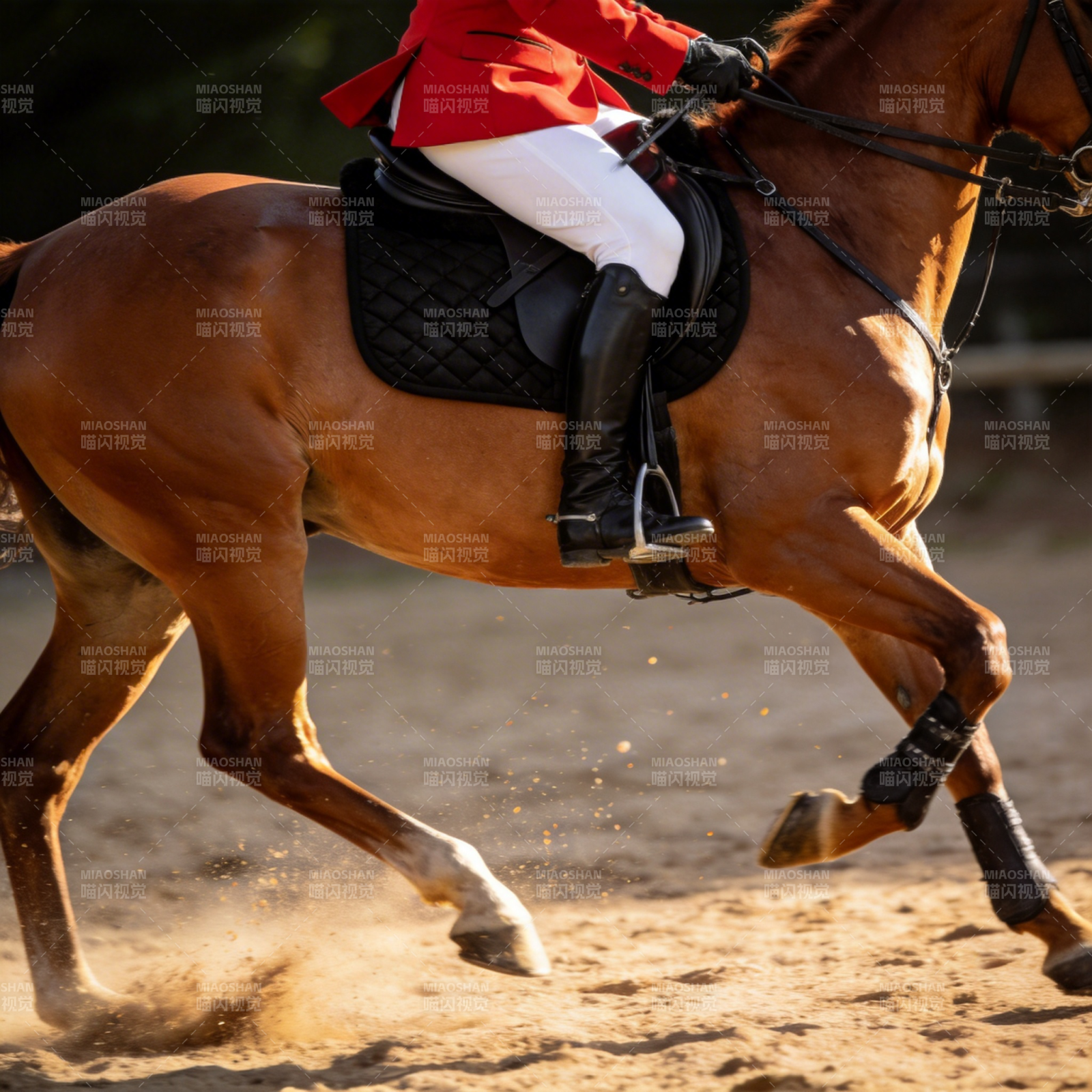骑手策马驰骋图片