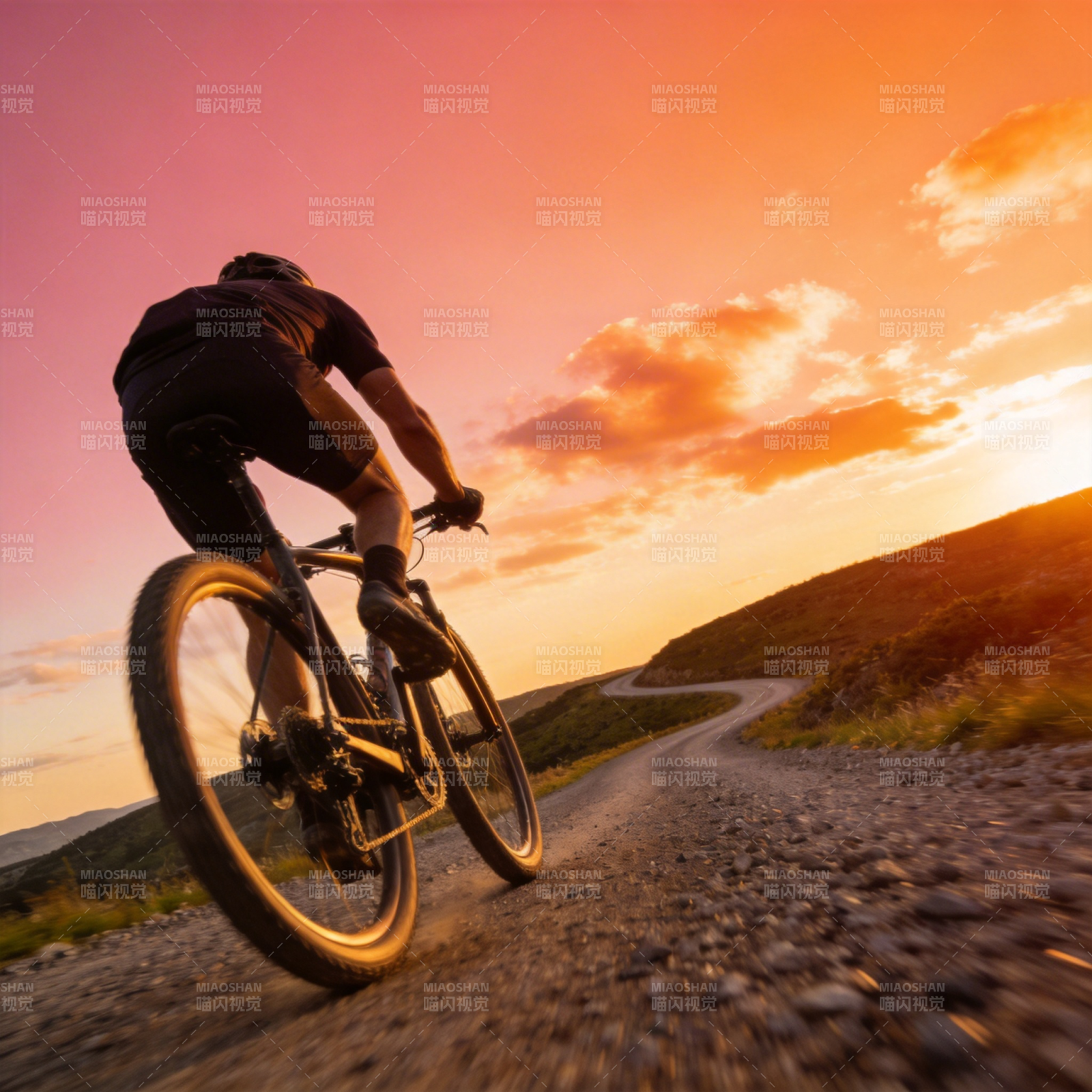 夕阳下骑行图片