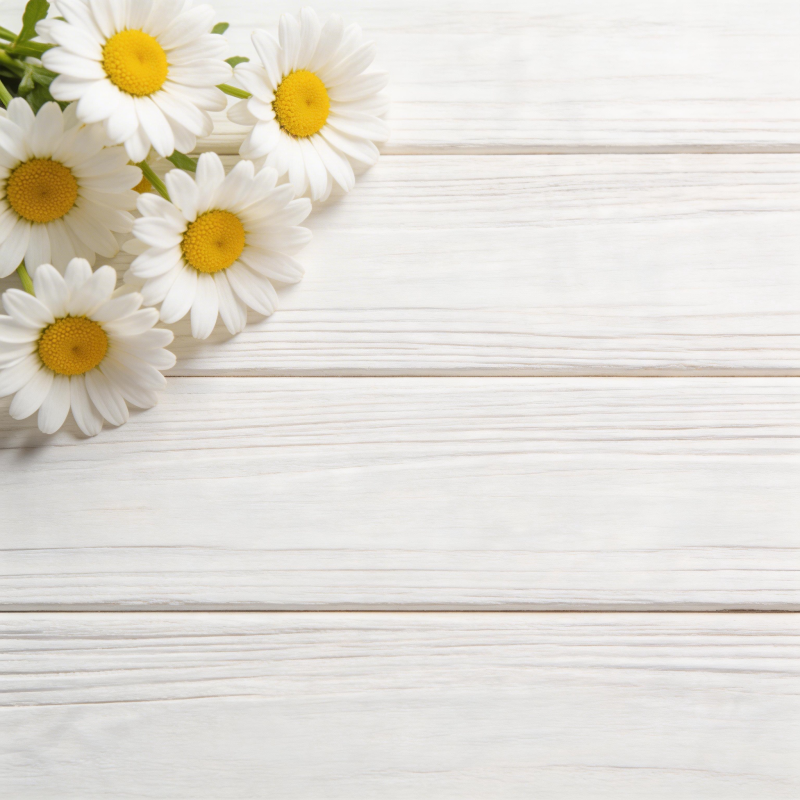 雏菊点缀白木桌图片