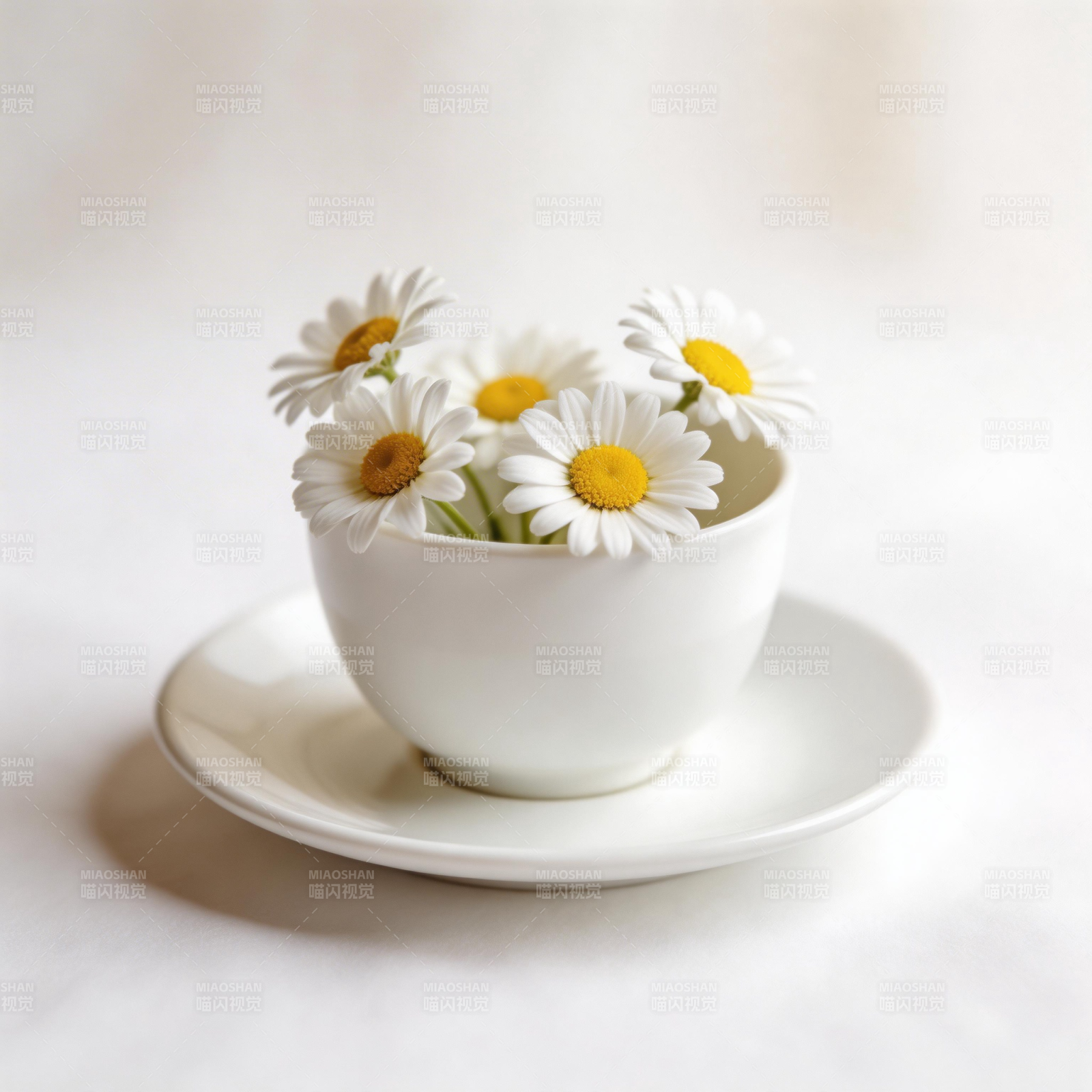 雏菊茶杯花艺图片