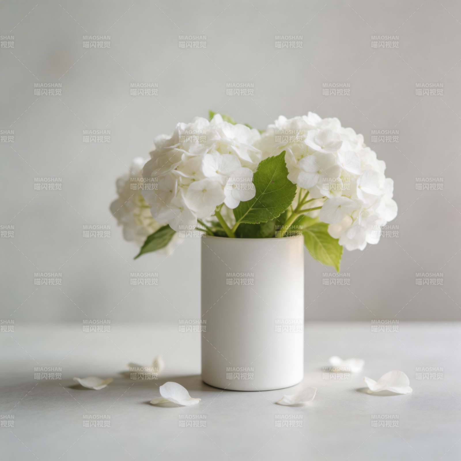 白花静谧之美图片