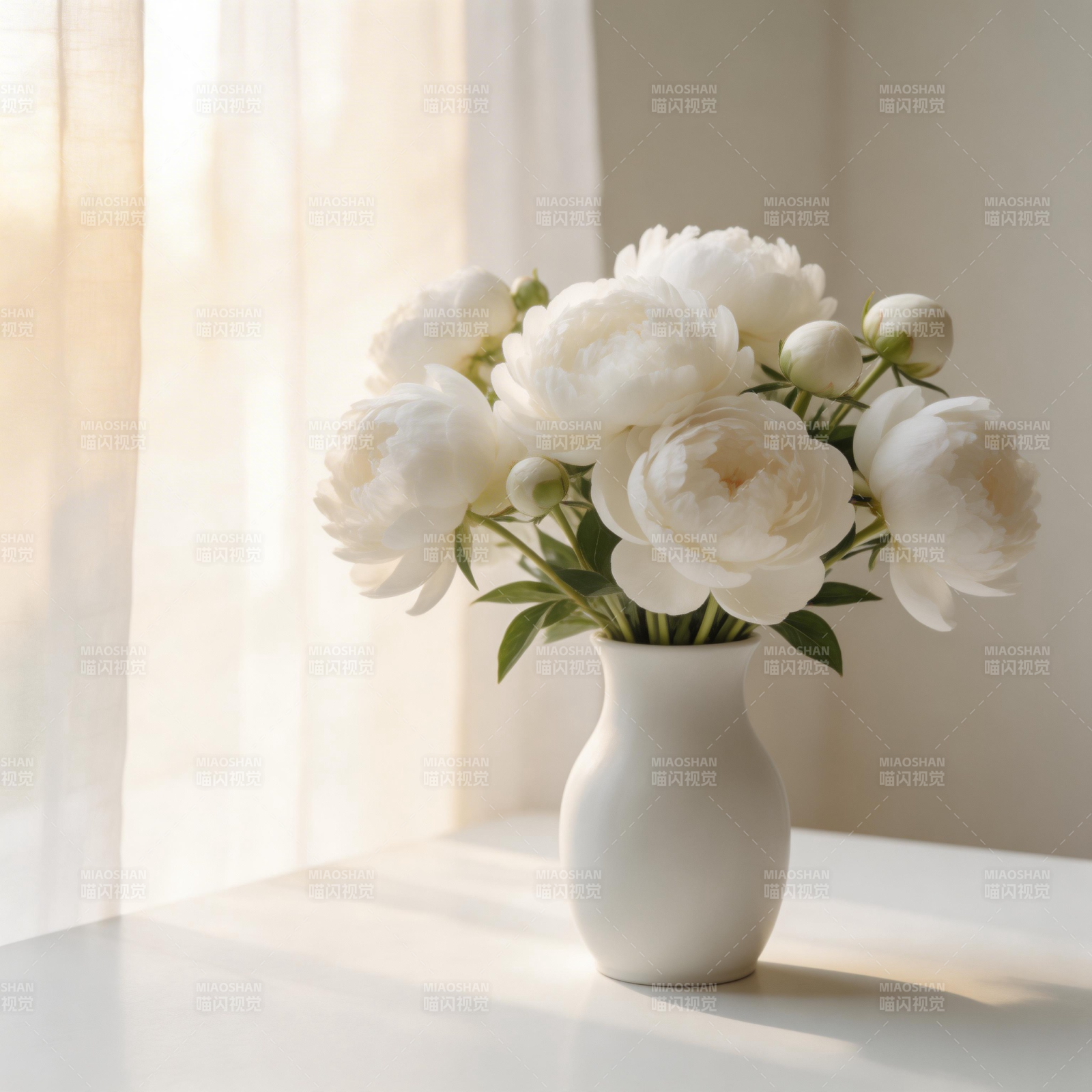 白花静谧时光图片