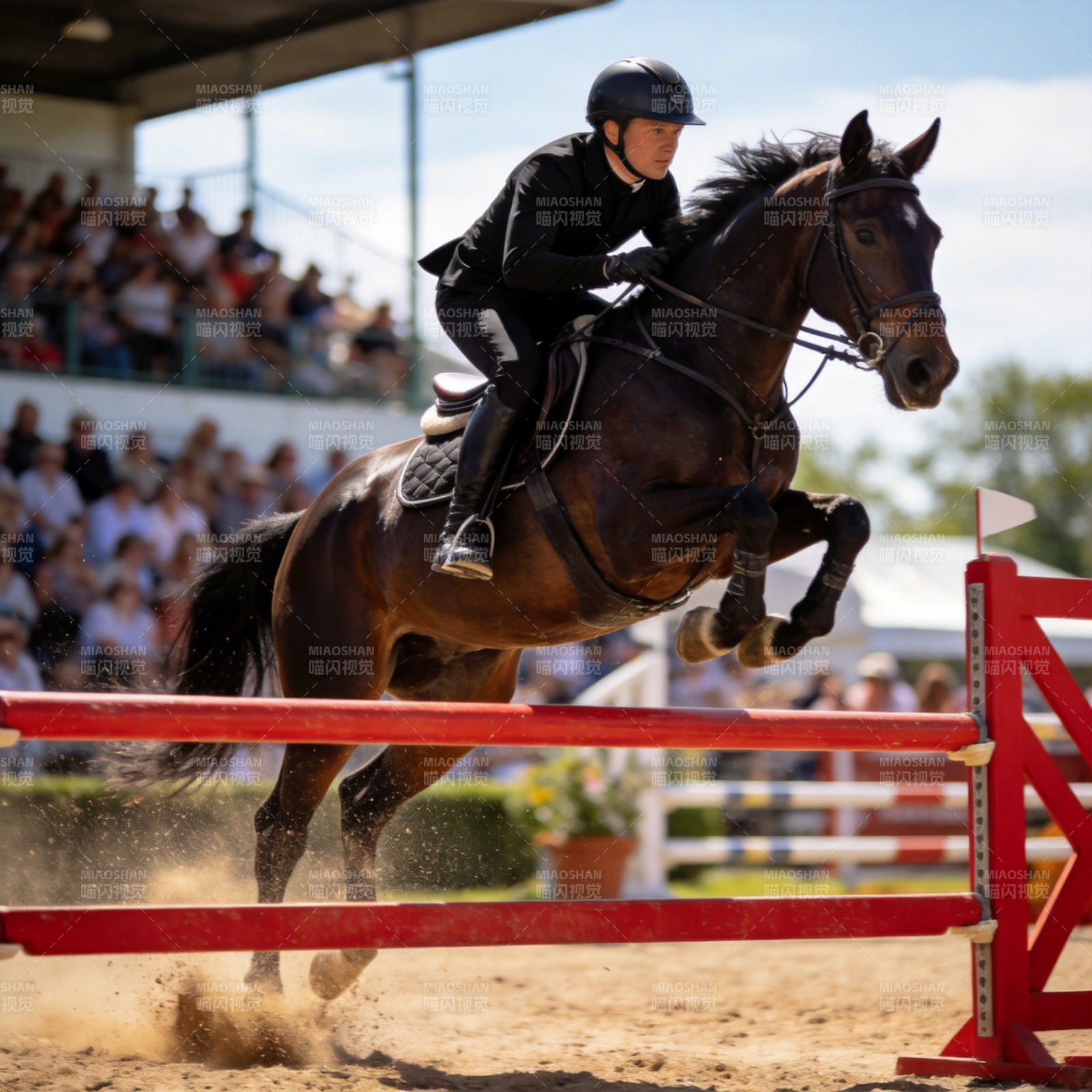 马术飞跃瞬间图片