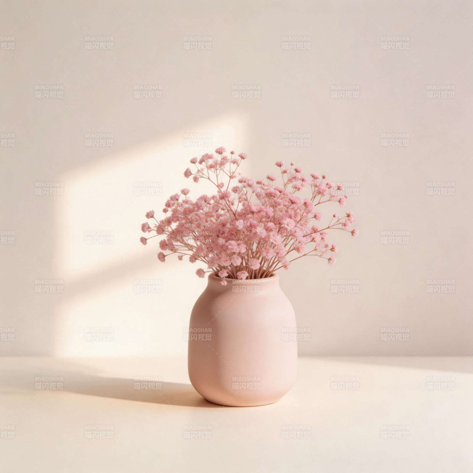 粉花静置 光影温柔图片