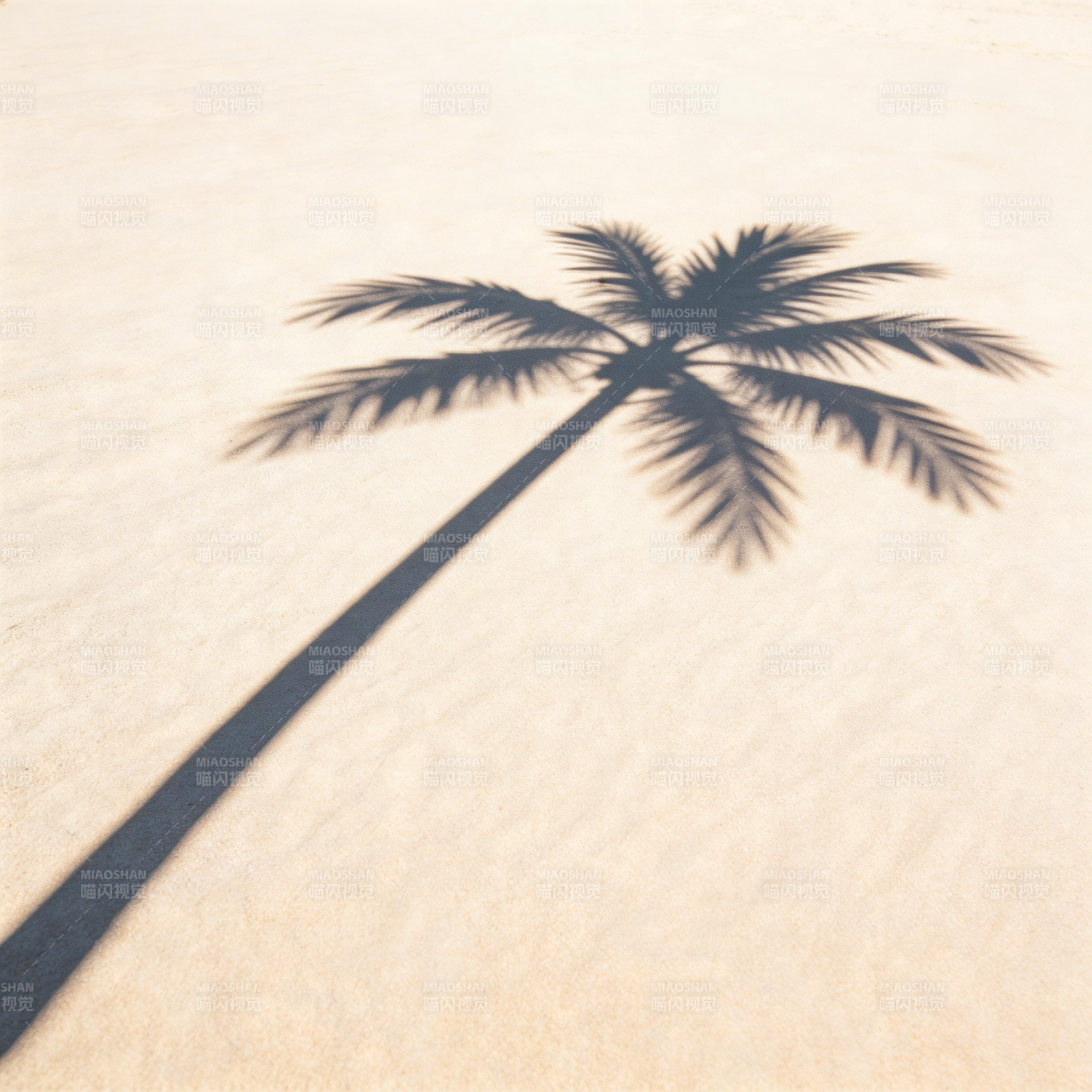 椰影沙滩图片