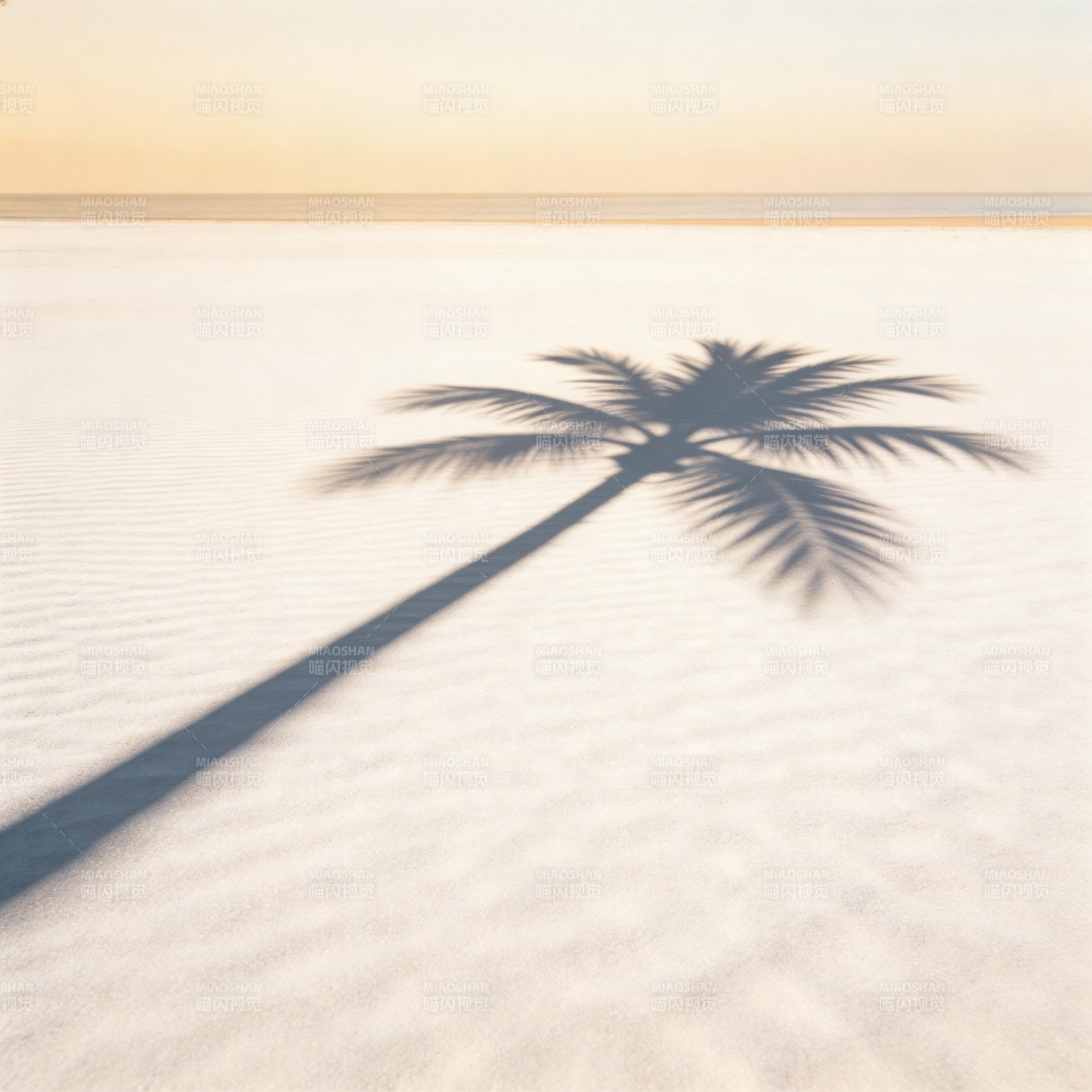 椰影沙滩图片