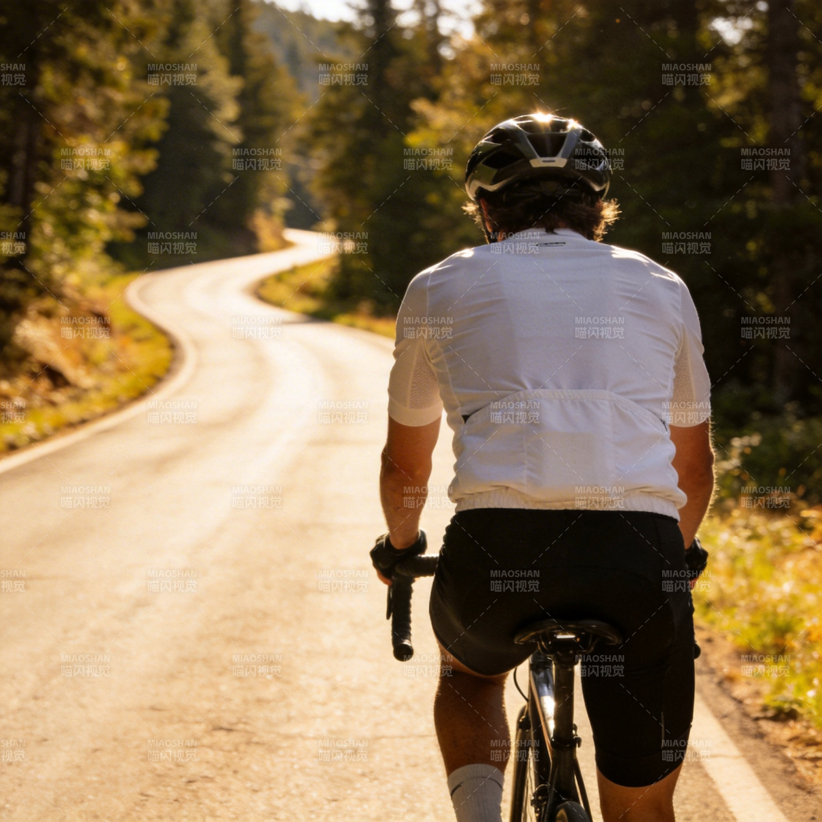 骑行林间小道图片