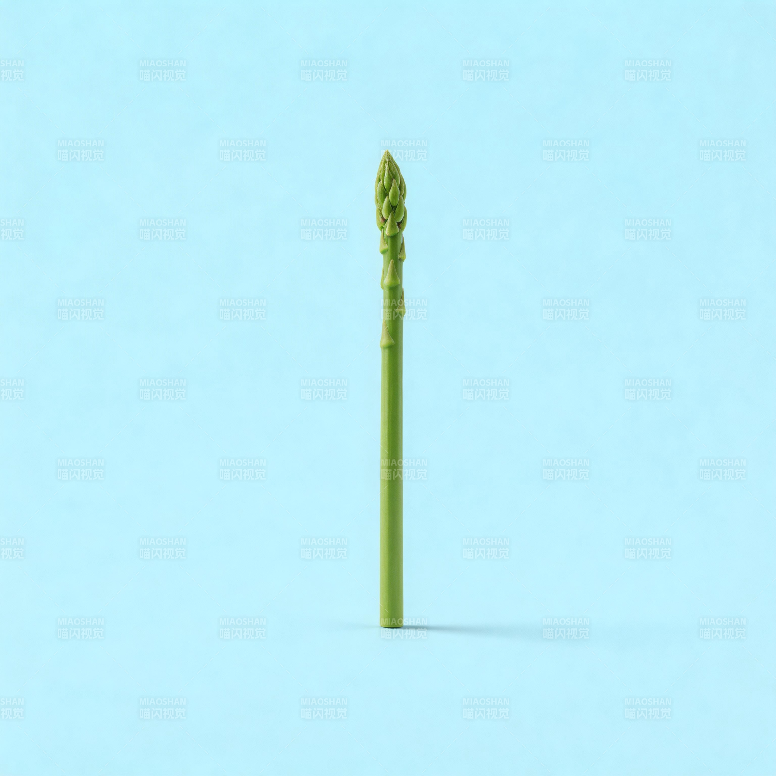 翠绿芦笋立于蓝底图片