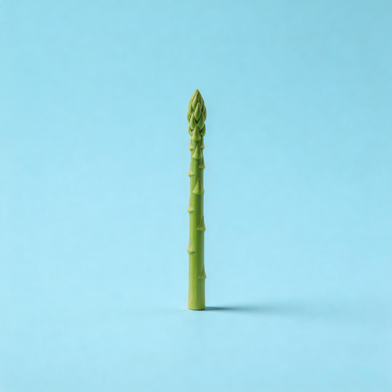 青翠芦笋立于蓝底图片