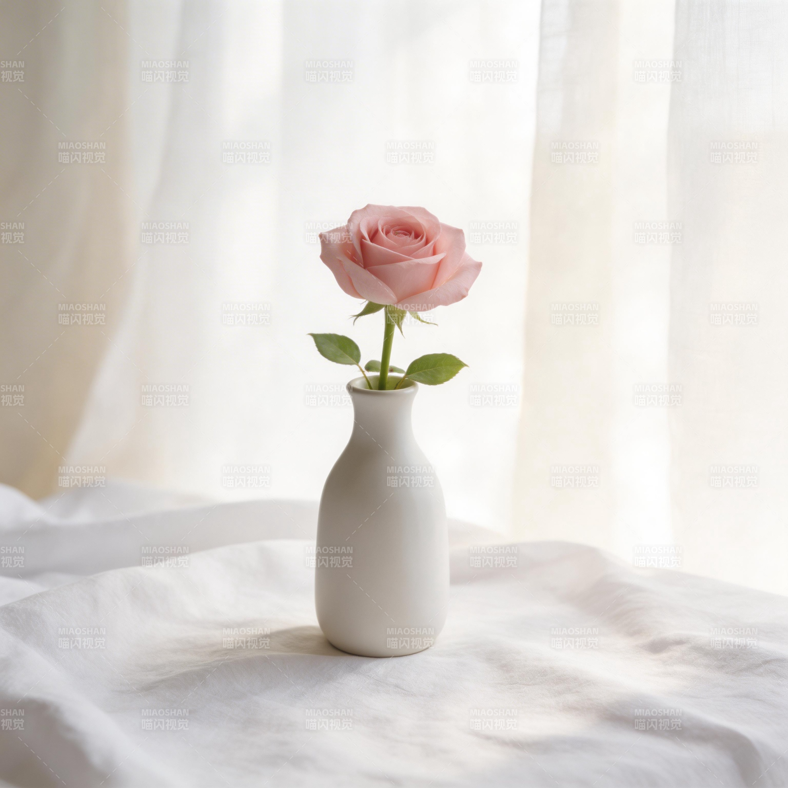 粉玫瑰静谧之美图片