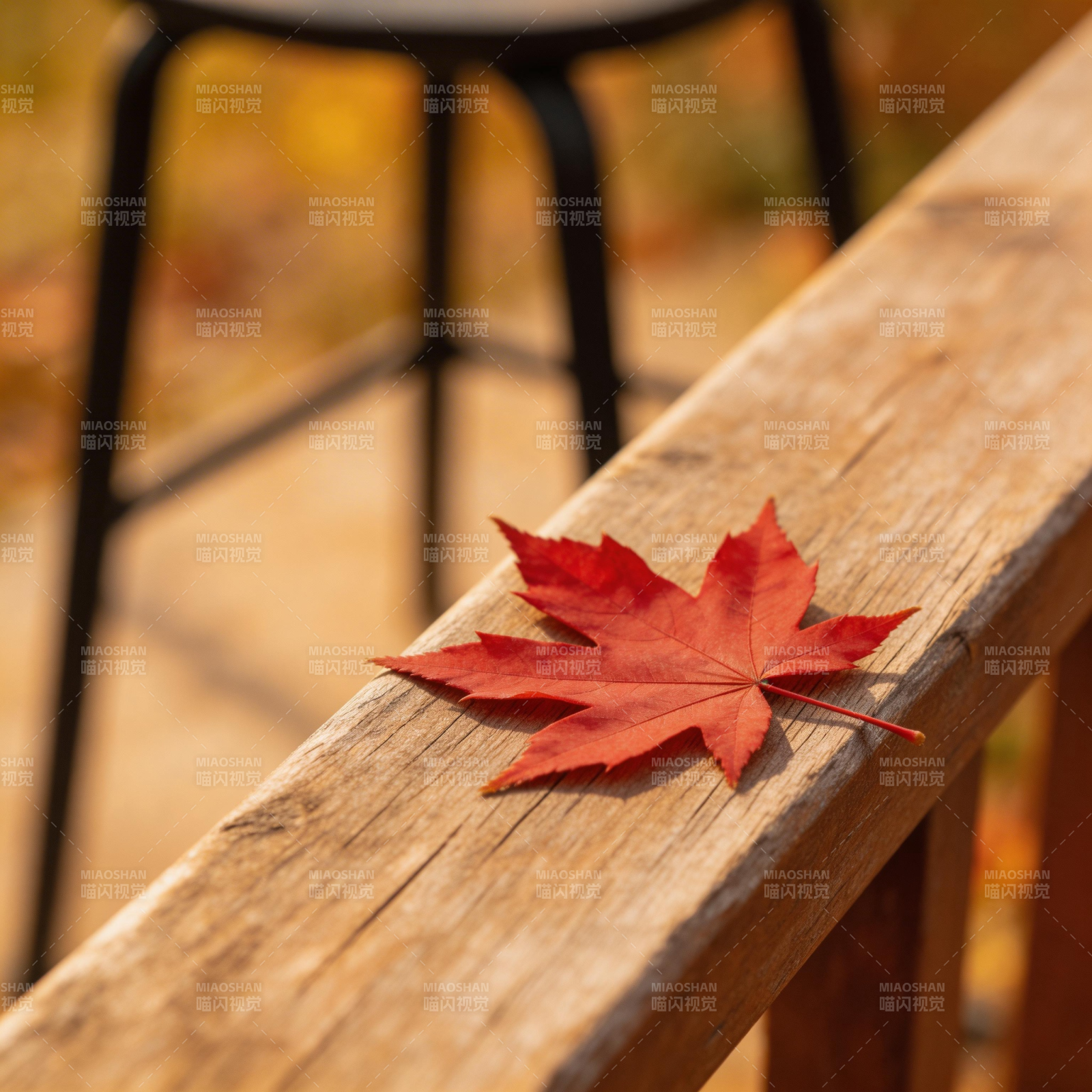 秋叶静卧木栏图片