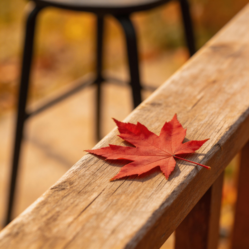 秋叶静卧木栏图片