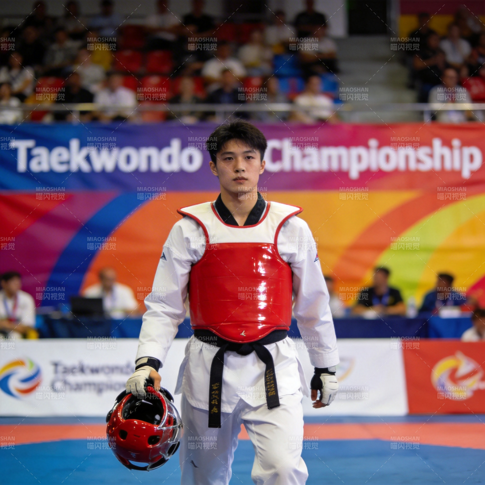 跆拳道冠军风采图片