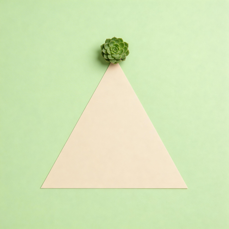 绿植点缀三角纸图片