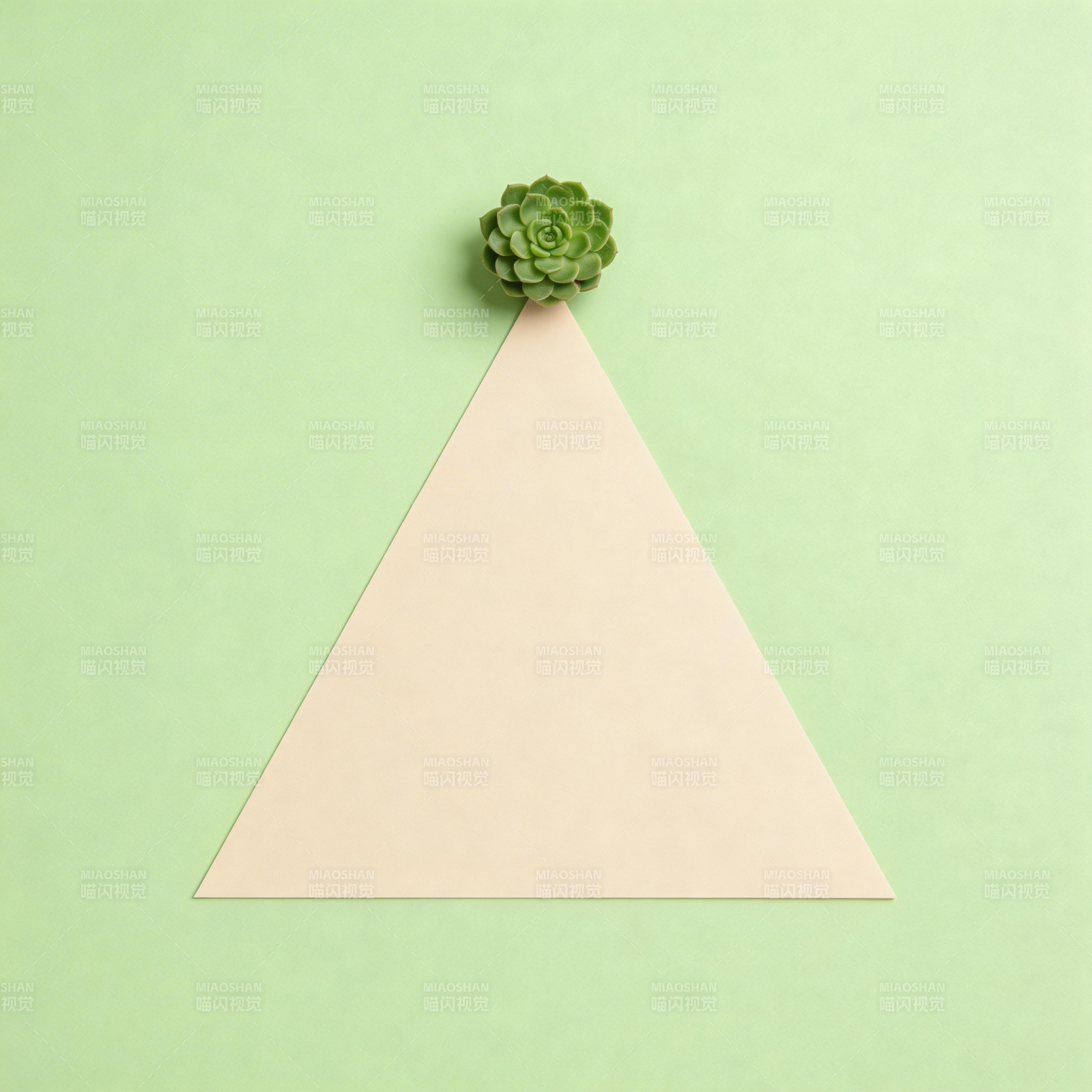 绿植点缀三角纸图片