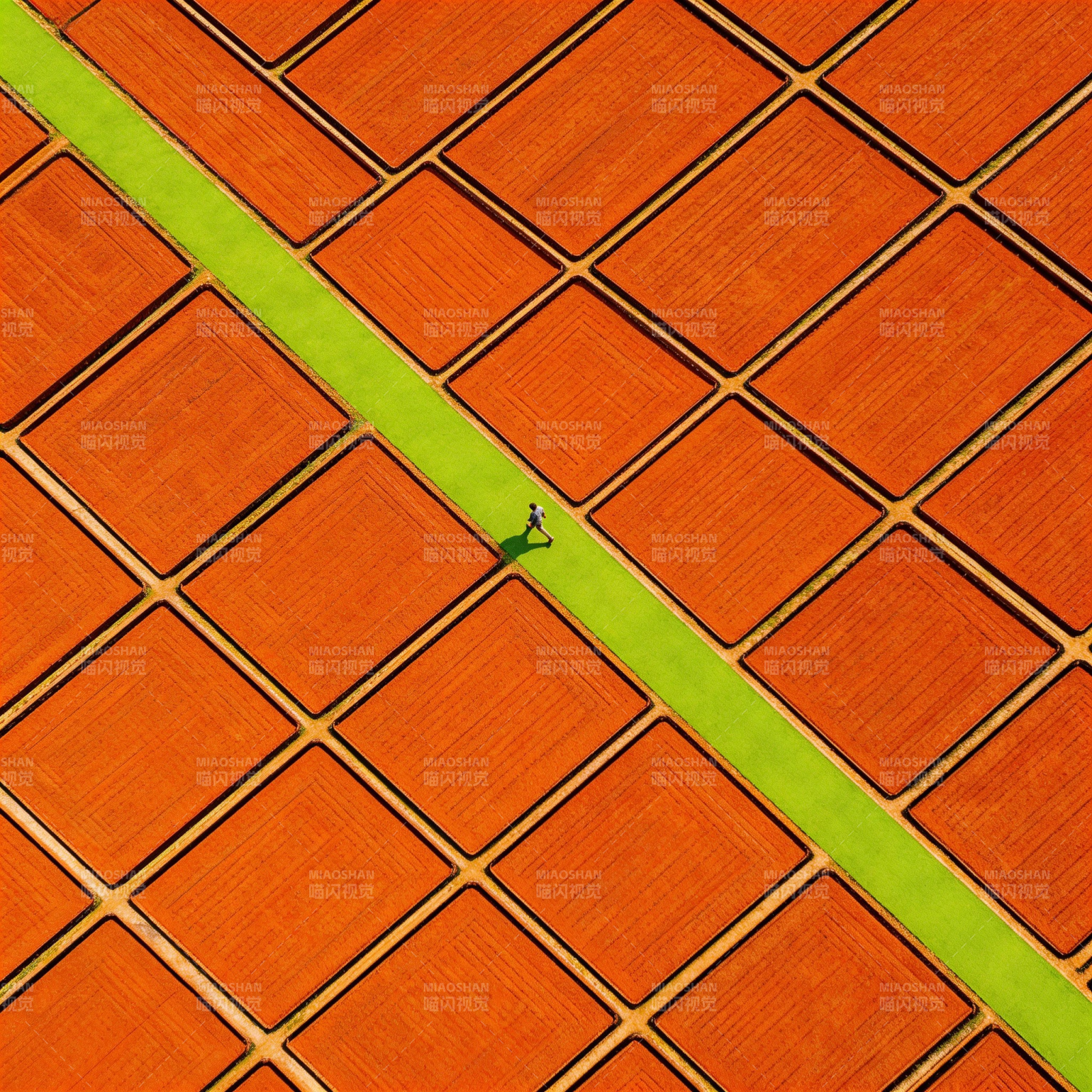 绿道穿行红砖间图片