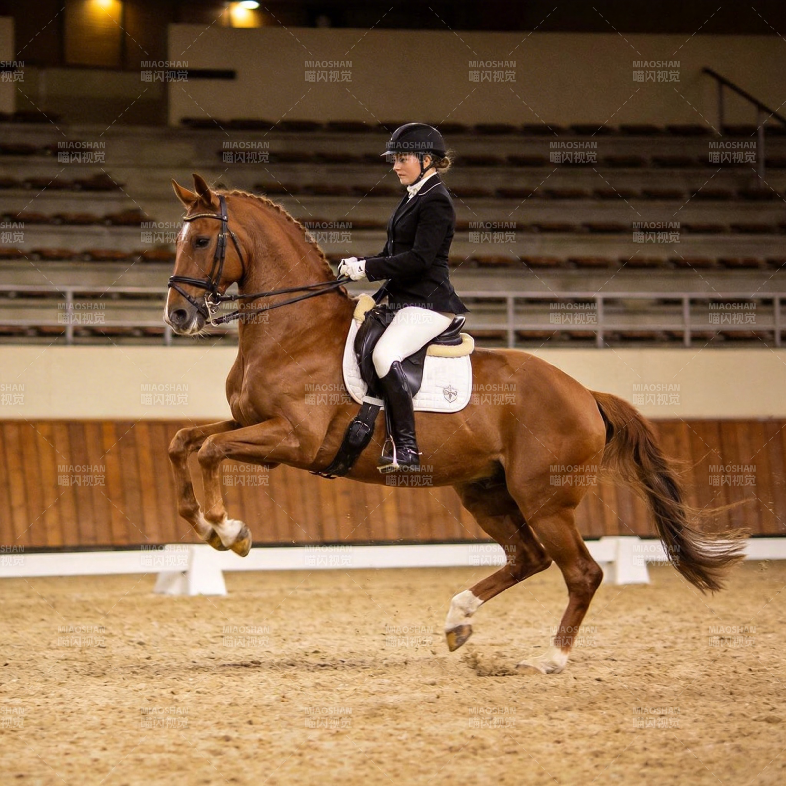 马术竞技瞬间图片