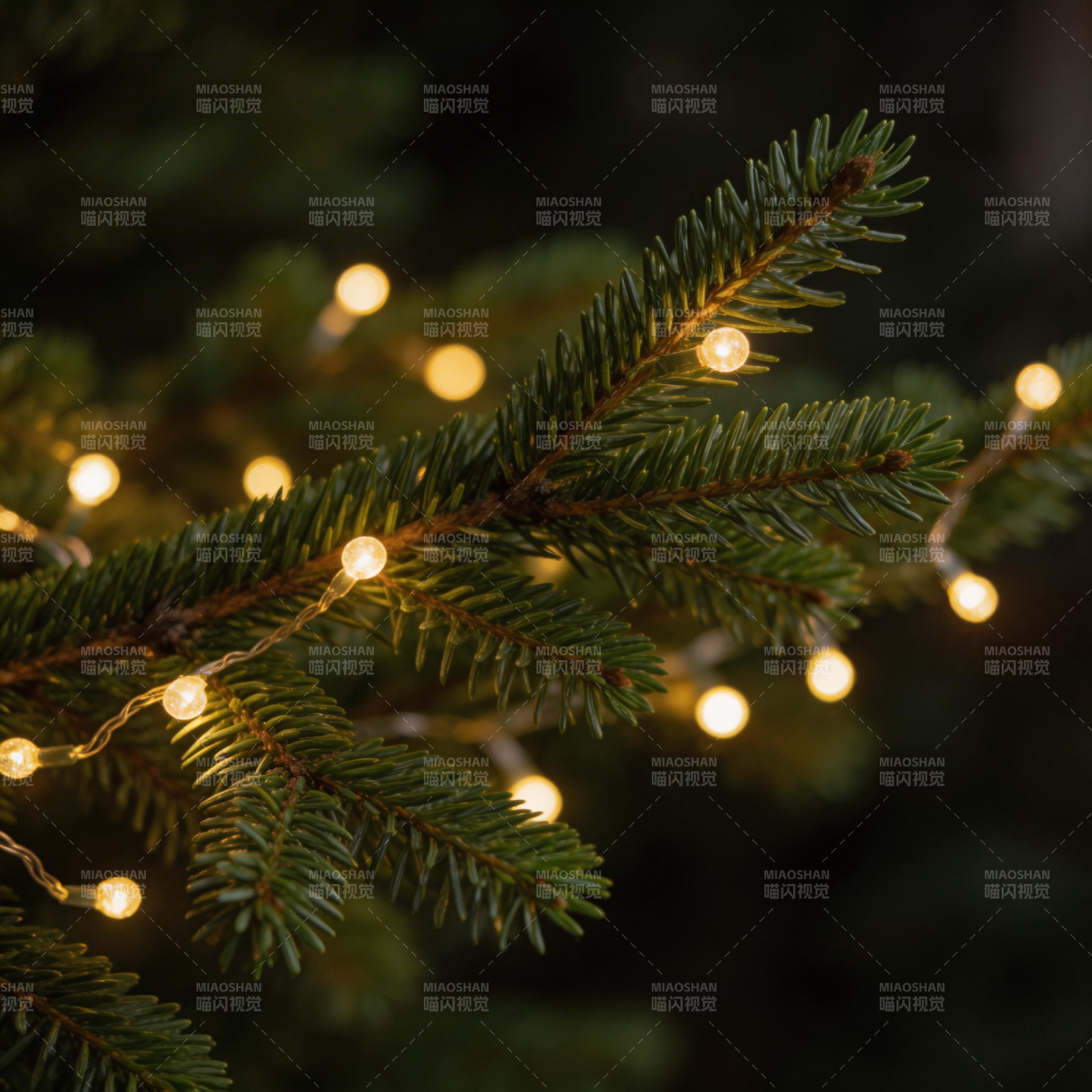 圣诞树上的温暖灯光图片