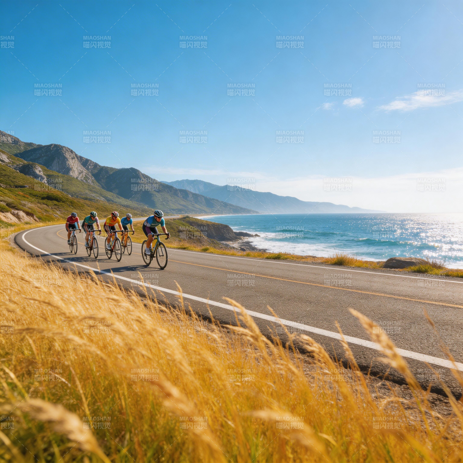 海岸骑行 风景如画图片