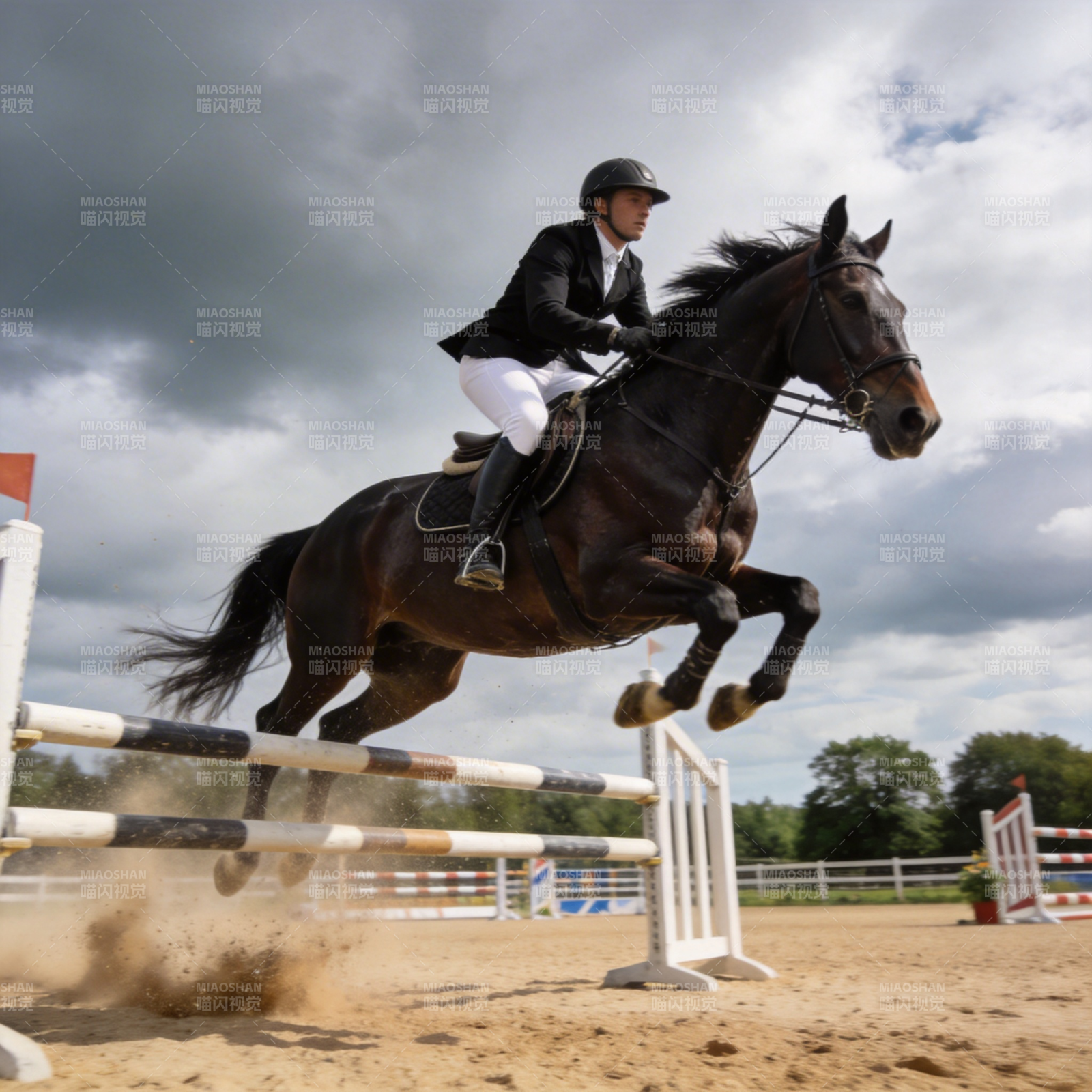 骏马飞跃障碍图片