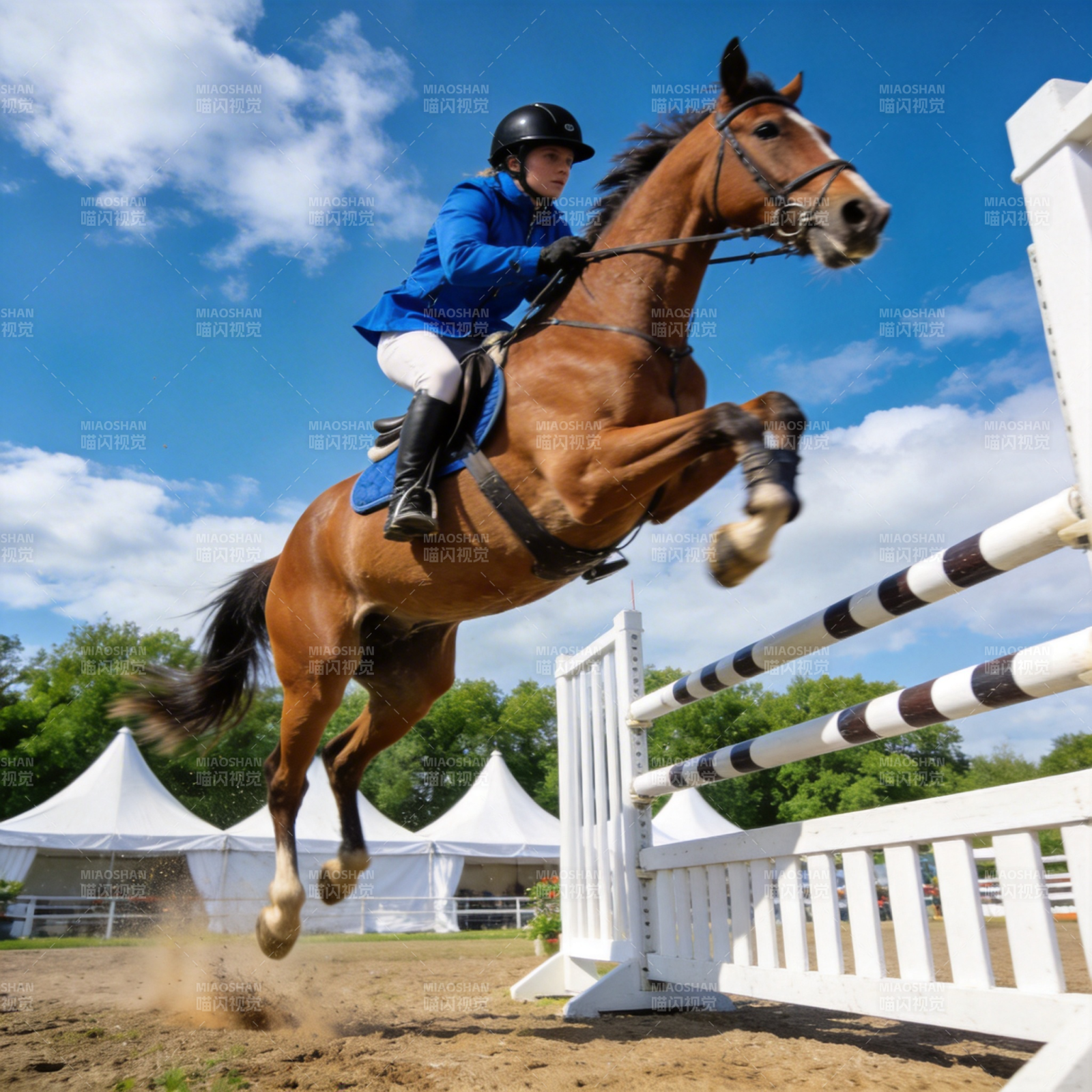 骏马飞跃障碍图片