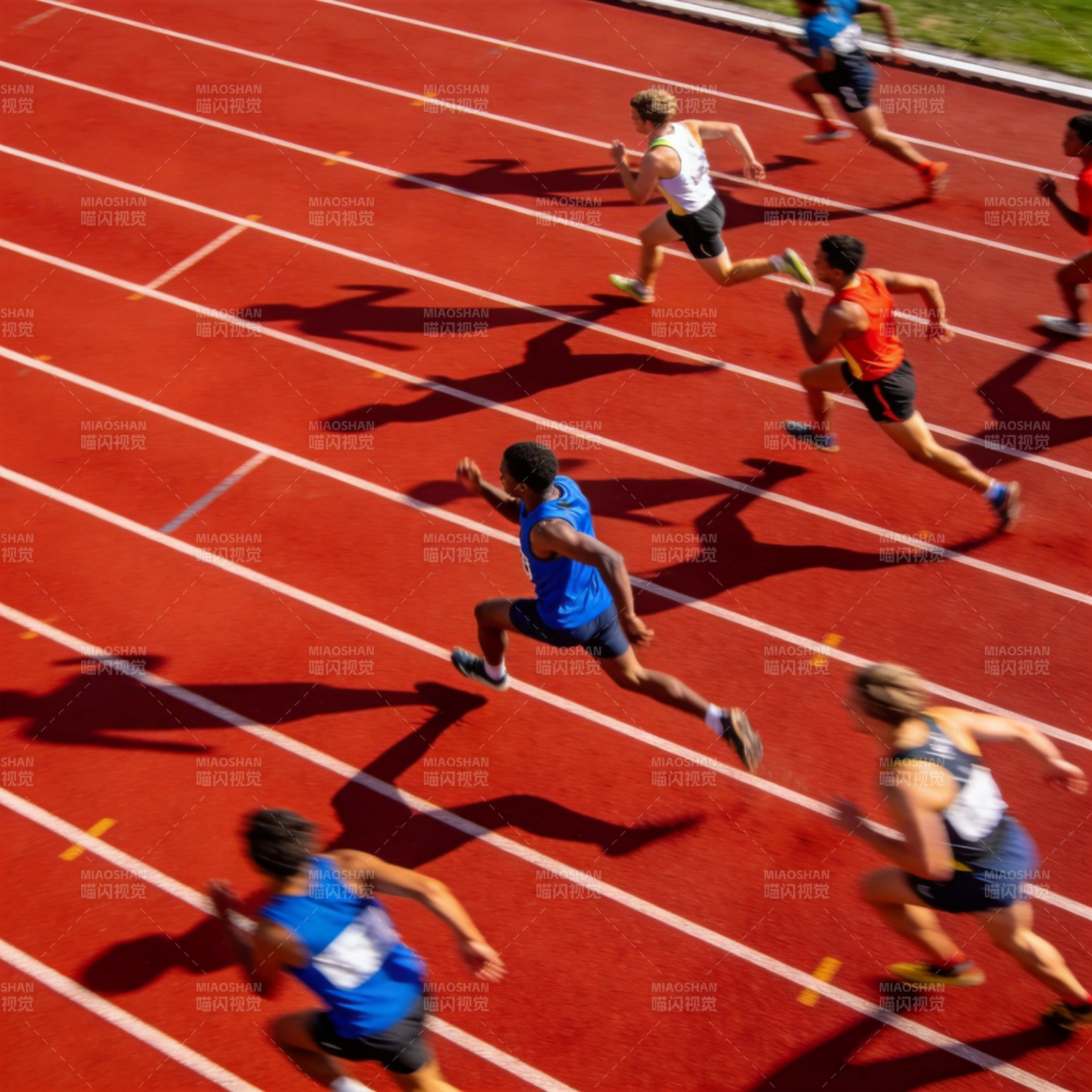 赛道上的速度对决图片
