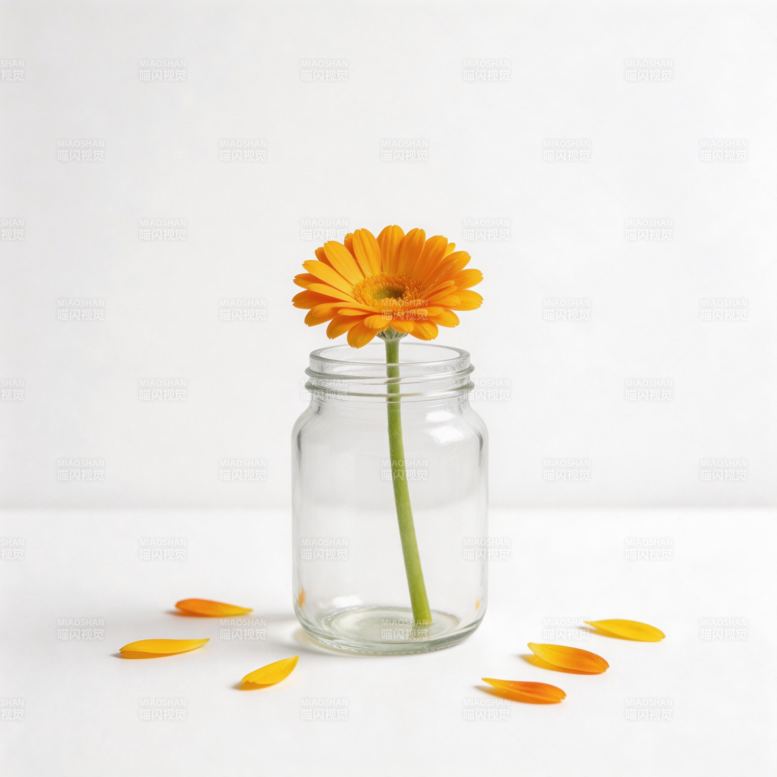 橙花瓶中绽放图片