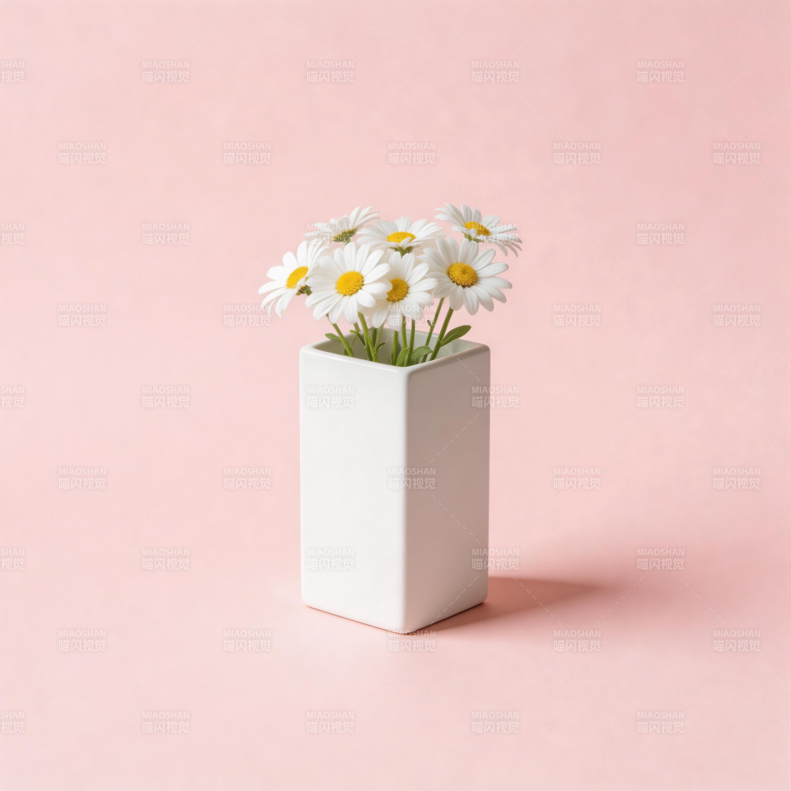 雏菊与白瓶图片