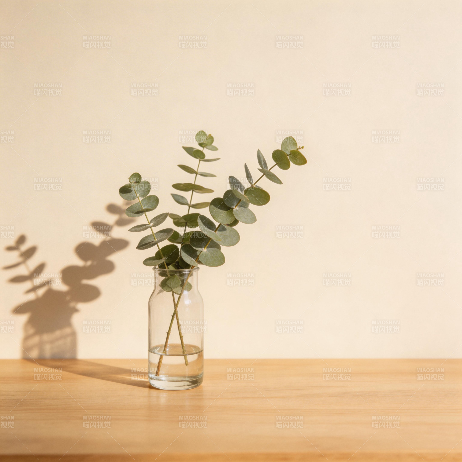 绿叶静物光影图片