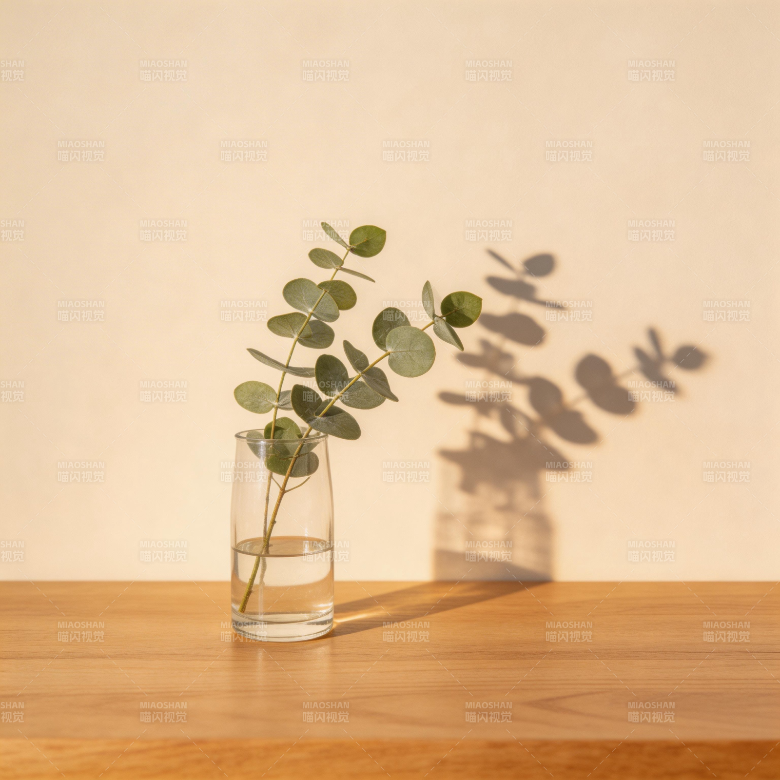 绿叶光影静谧美图片