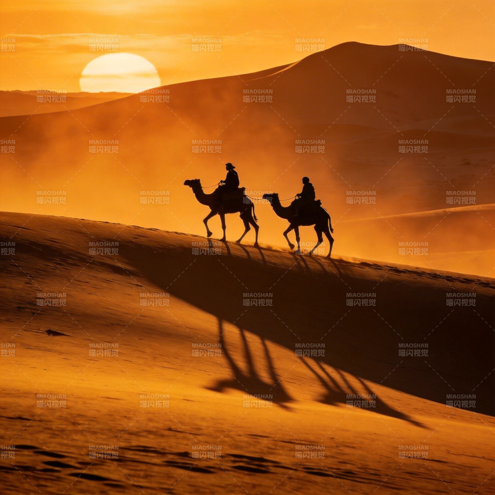 沙漠驼影夕阳图片