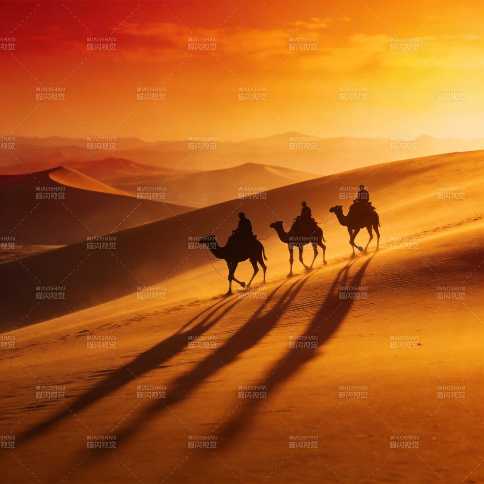 沙漠驼影夕阳图片