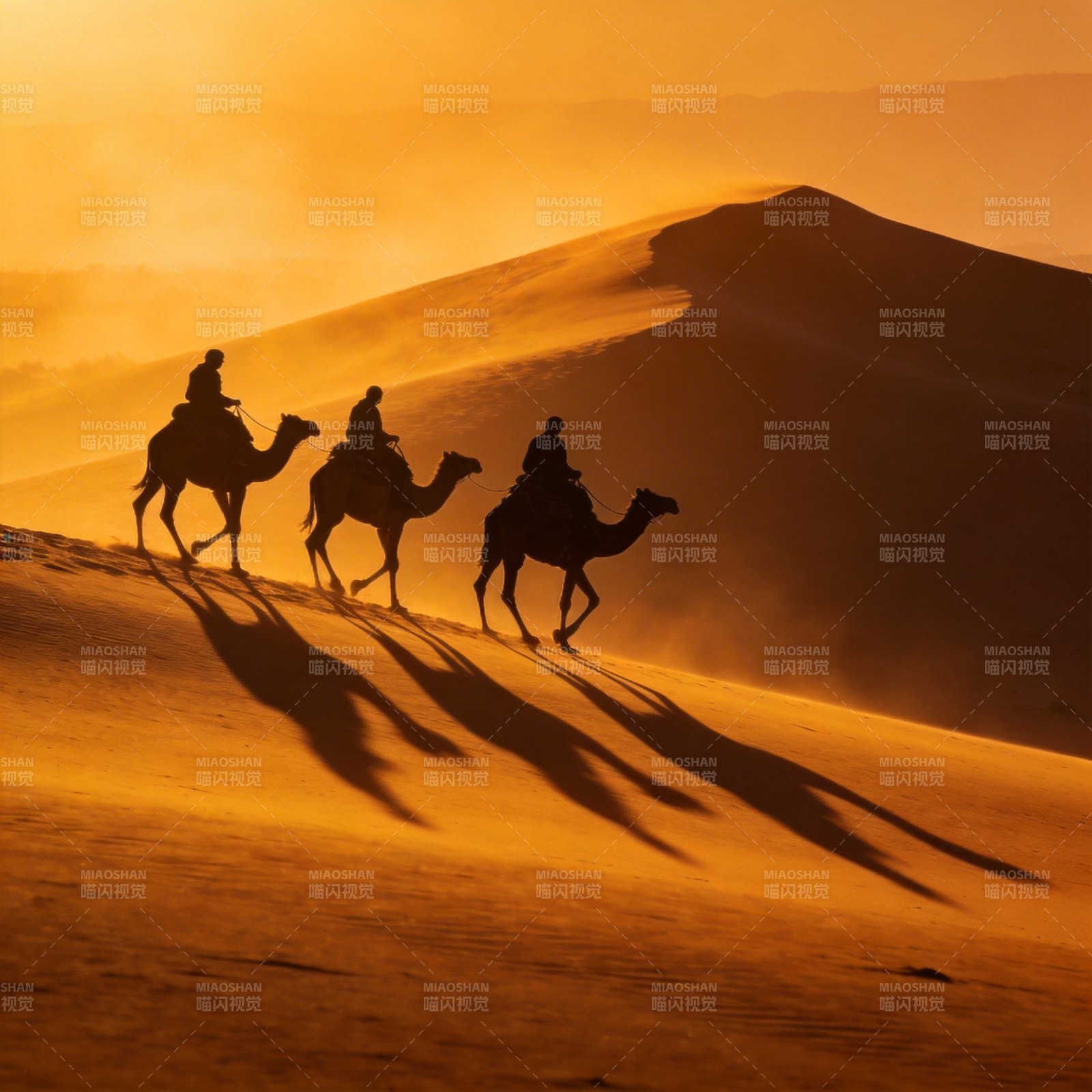 沙漠驼影图片
