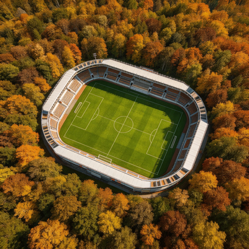 秋林中的足球场图片