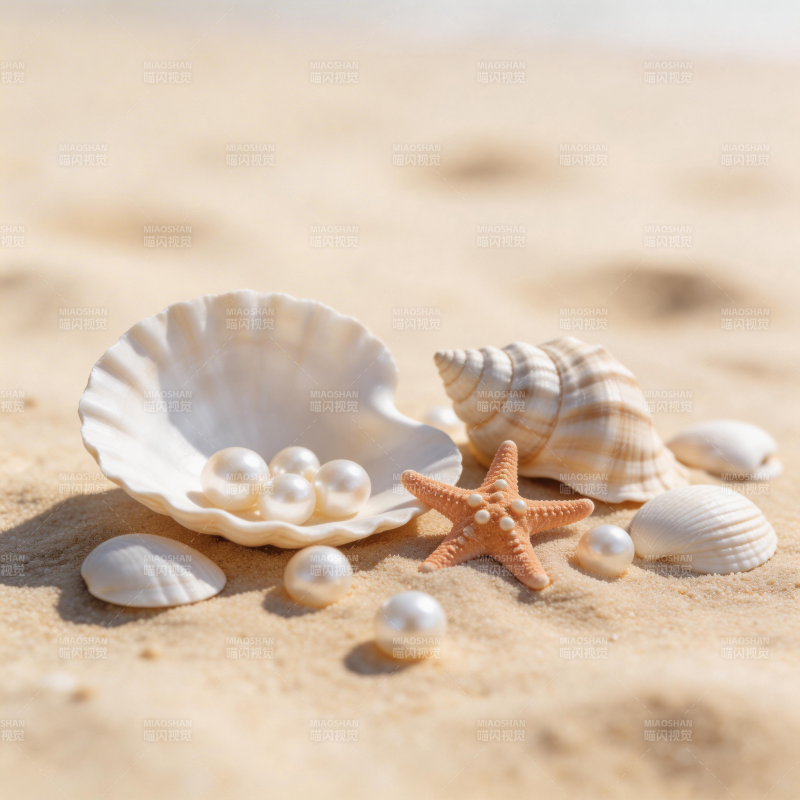 沙滩上的贝壳与珍珠图片