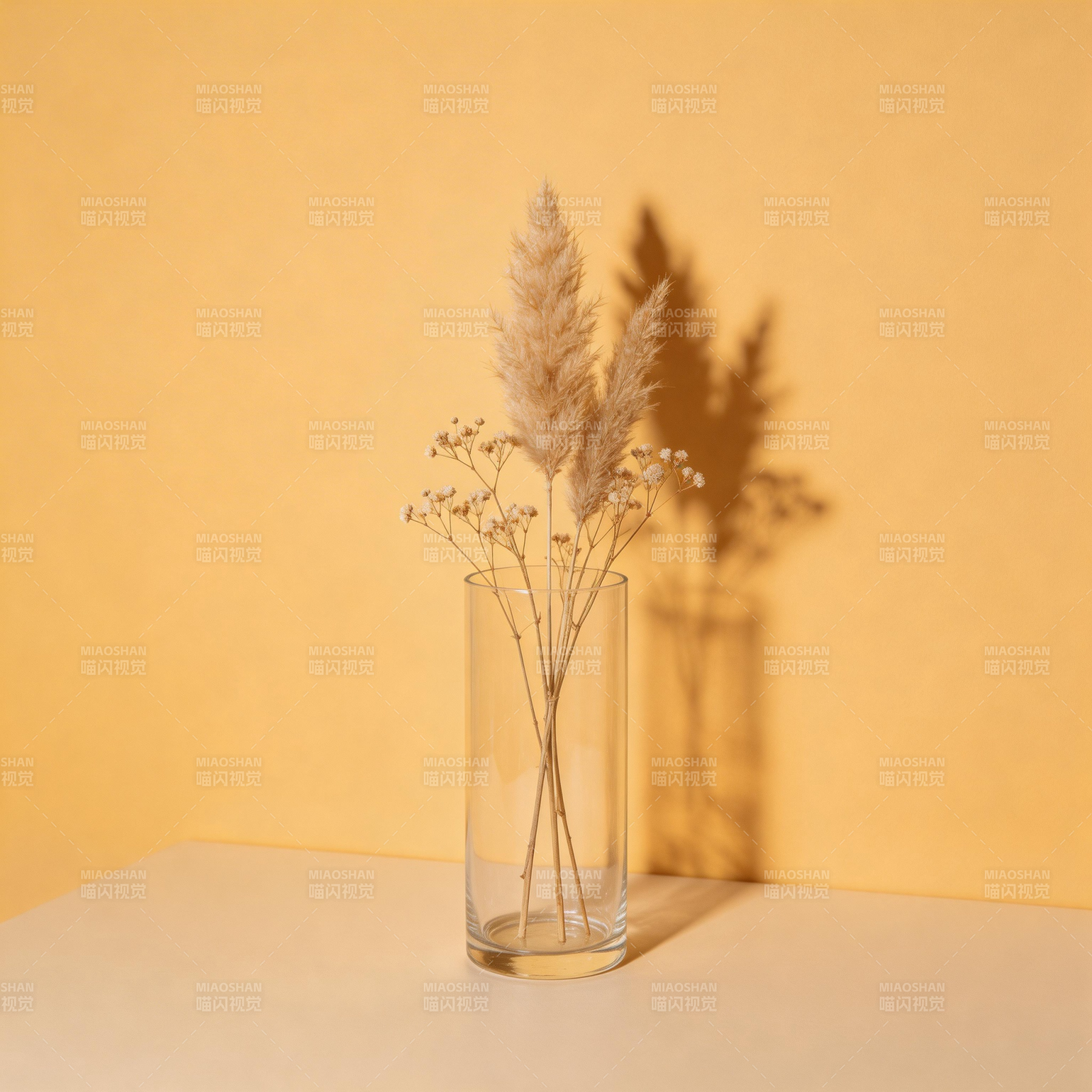 干花静物光影图片